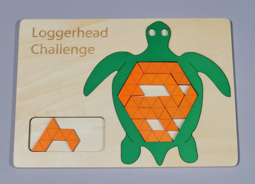 Loggerhead Challenge. Sea Turtle Brainteaser PUZZLE