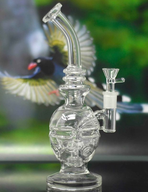 9'' Glass Recycler WATER PIPE