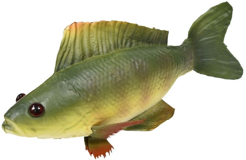 Decorative Fish - Perch
