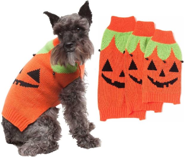 Jack-O-Lantern Dog SWEATER - Extra Small