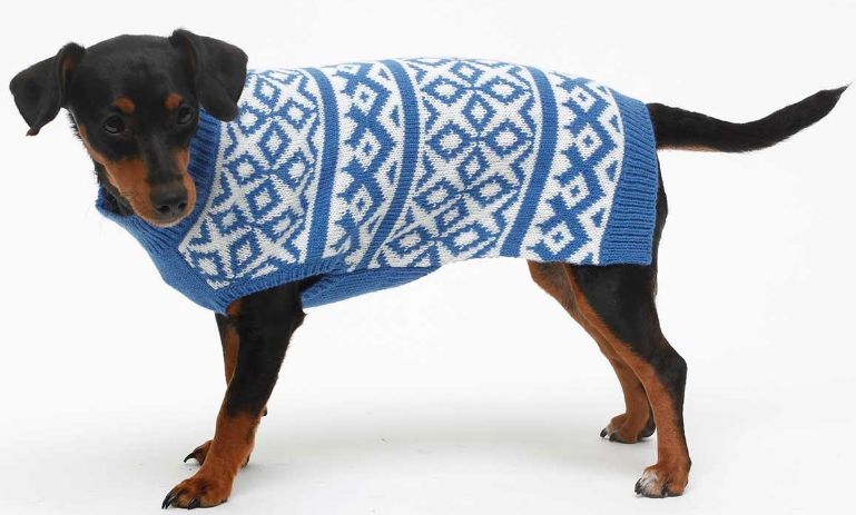 Blue DIAMOND Dog Sweater - Large
