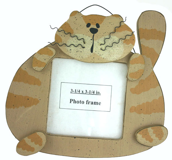 Frizzle Cat Photo FRAME