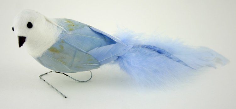 Grey / Blue Feathered Bird