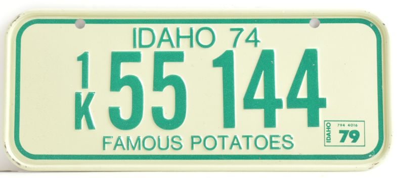 VINTAGE 1979 Stamped Lettering All Metal Bicycle Tag Idaho