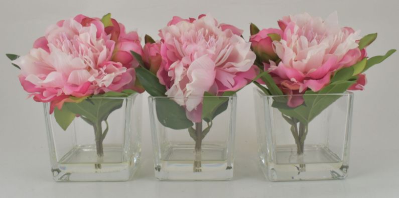 Light Pink Peony in Glass Cube - Set of 3