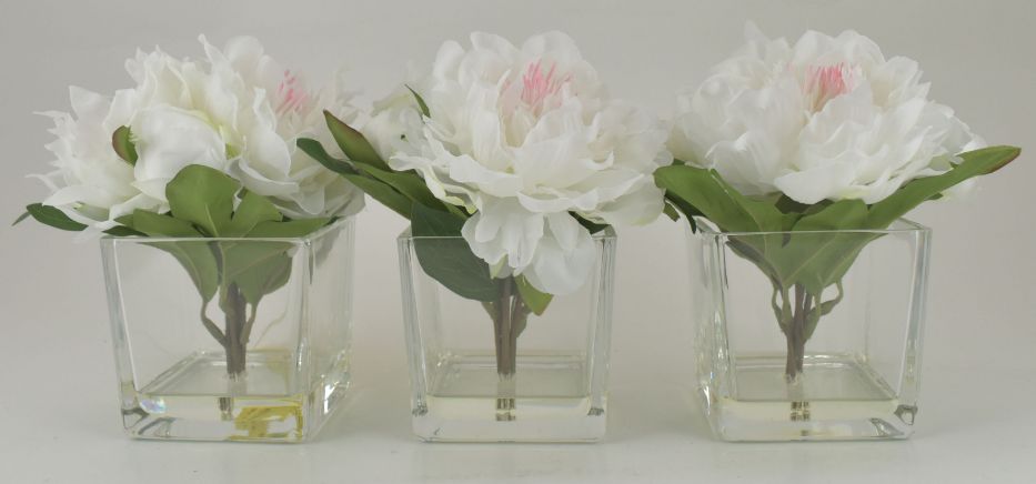 Cream/Pink Peony in Glass Cube - Set of 3