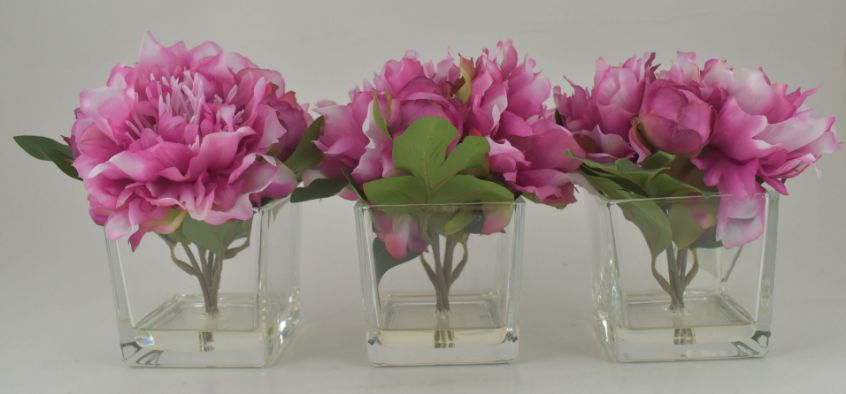Pink Peony in Glass Cube - Set of 3