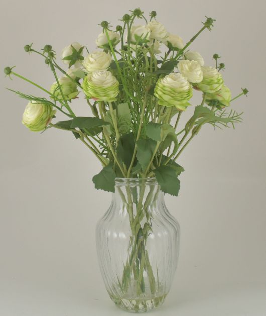 Cream Ranunculus Bouquet in Glass VASE