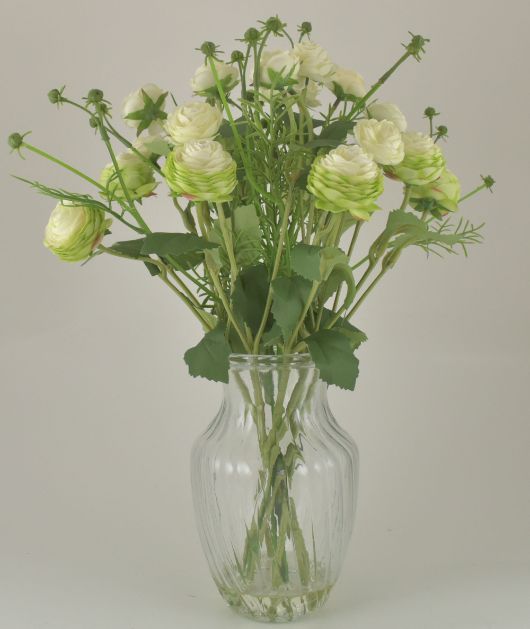 Cream Ranunculus Bouquet in Glass Vase