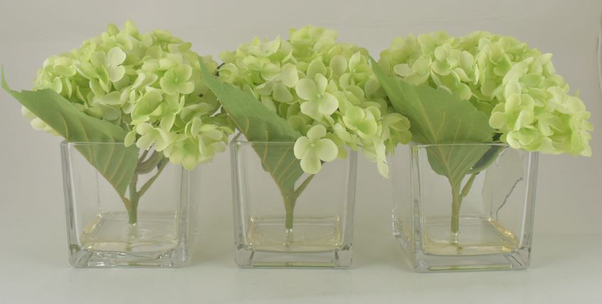 Light Olive Hydrangea Bouquet in Glass Cube Vase - Set of 3