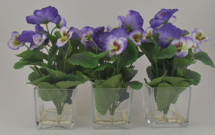 Purple Pansy Bush in Glass Cube - Set of 3