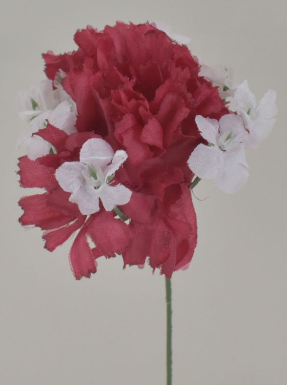 JUMBO CARNATION PICK - BOX 100 - FOREVER YOURS