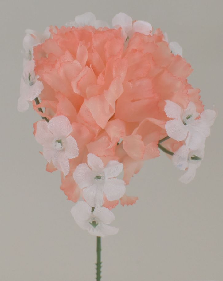 JUMBO CARNATION PICK - BOX 100 - PEACH