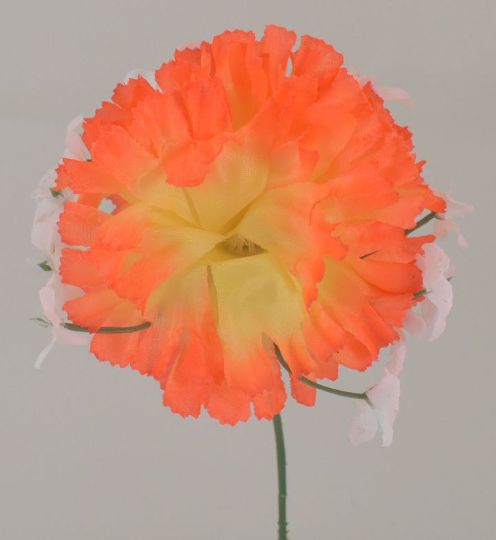 JUMBO CARNATION PICK - BOX 100 - ORANGE