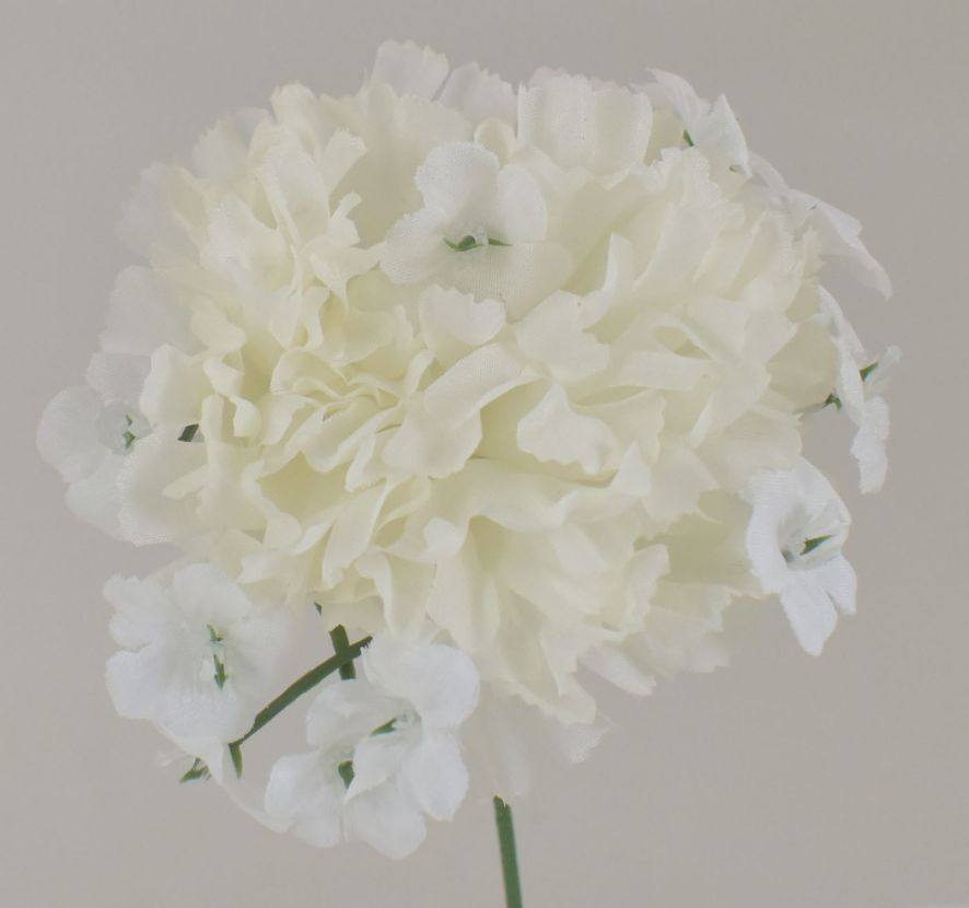 JUMBO CARNATION PICK - BOX 100 - CANDLELITE/CREAM