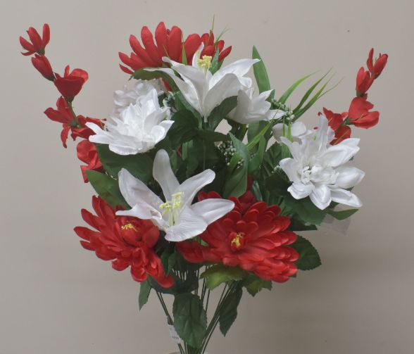 DAHLIA/TIGER LILY/gladiolus BUSH X 24 RED/WHITE