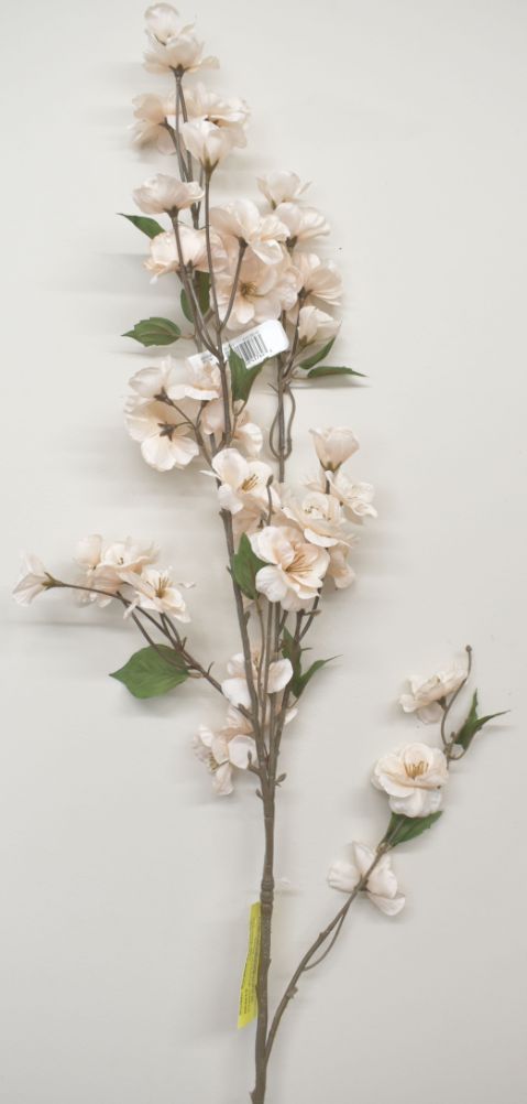 Cream BLOSSOM Stem