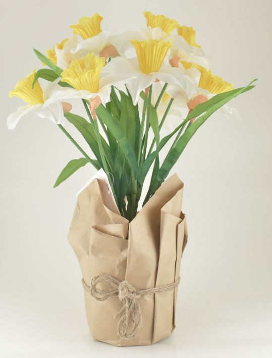 Large Potted Daffodil