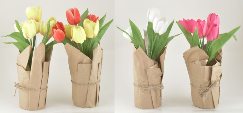 Potted Tulip - Assorted