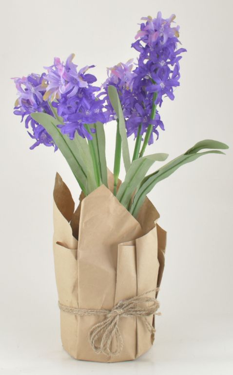 Large Potted Hyacinth