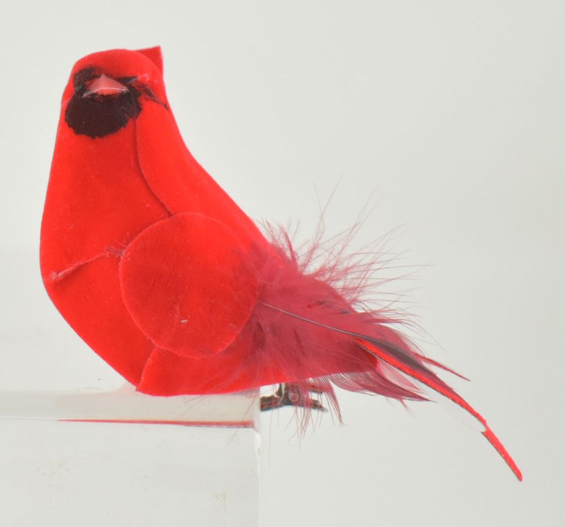 FEATHER CARDINAL  13 CM WITH CLIP - BOX OF 6