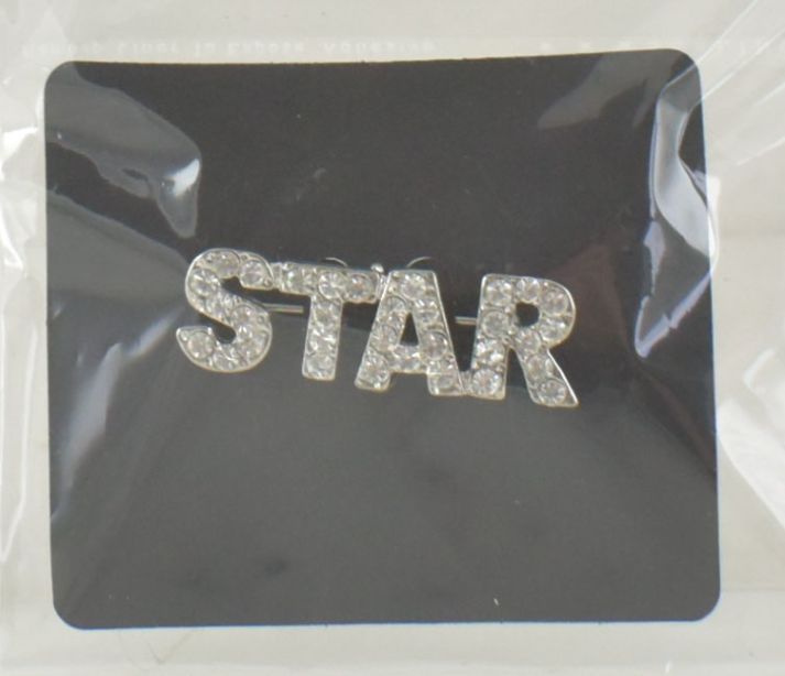 RHINESTONE STAR PIN/ORNAMENT