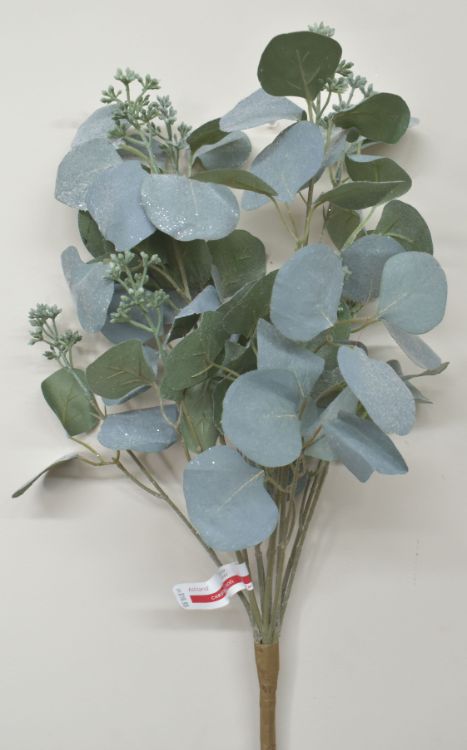 Eucalyptus Floral Bush