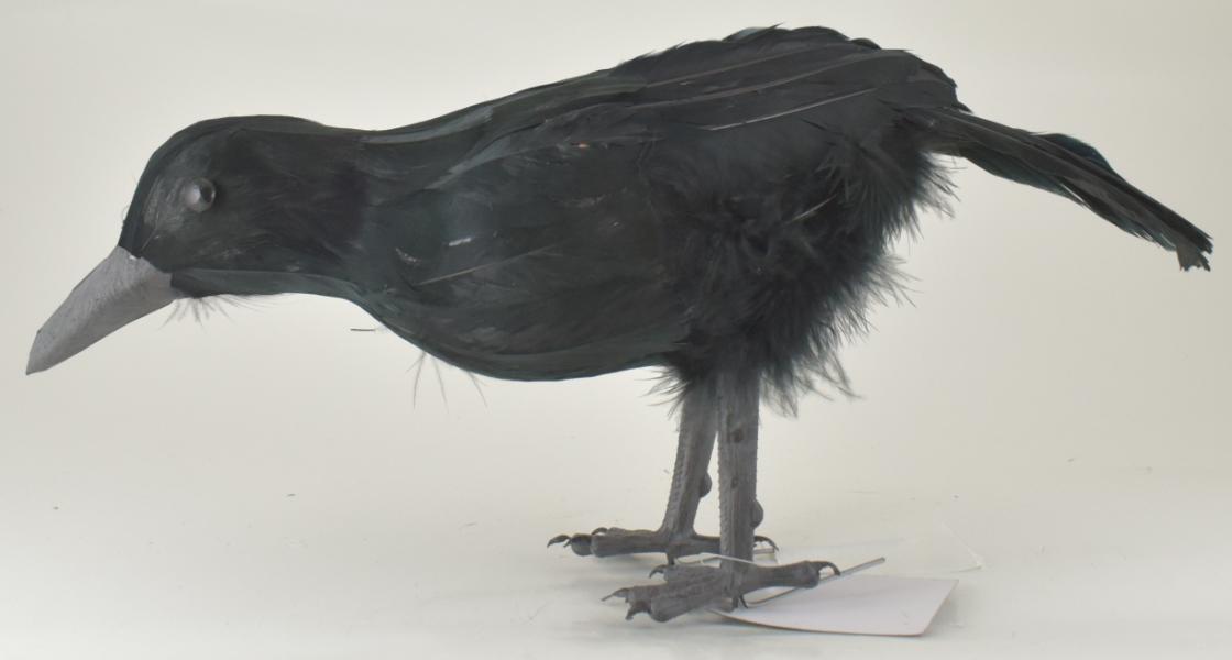 15'' Standing BLACK Feather Crow