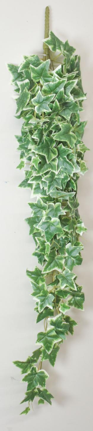 38'' variegated Ivy Hanging Bush
