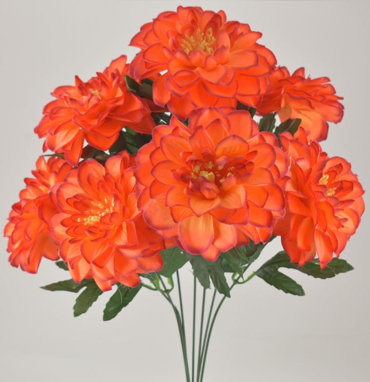 Satin Zinnia Bush Flame Orange