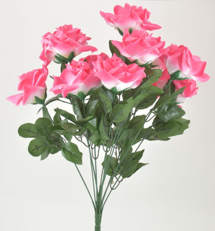 Diamond Rose Bush x12 Pink