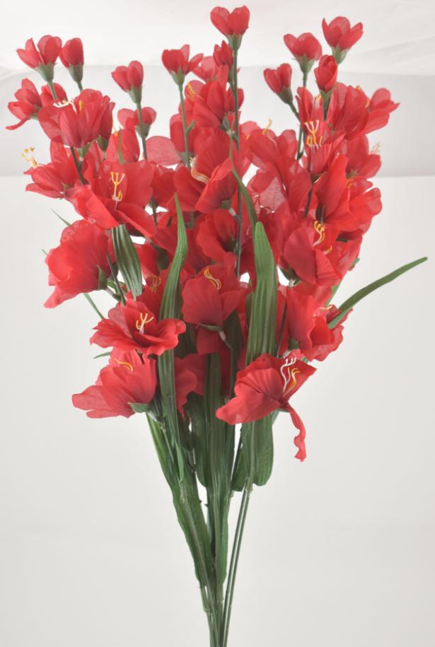 Gladiolus Bush Red