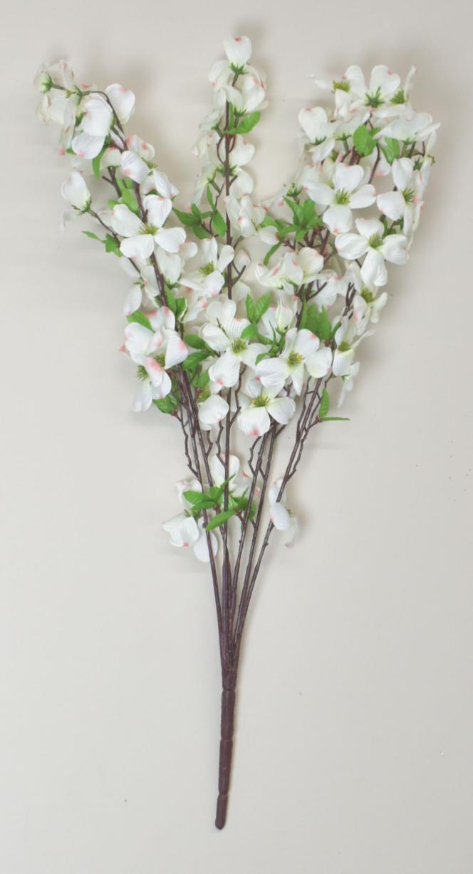 Tall Dogwood Bush x6 with 72 Blooms White