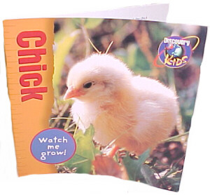 Discovery Kids BOOK -- ''Chick''
