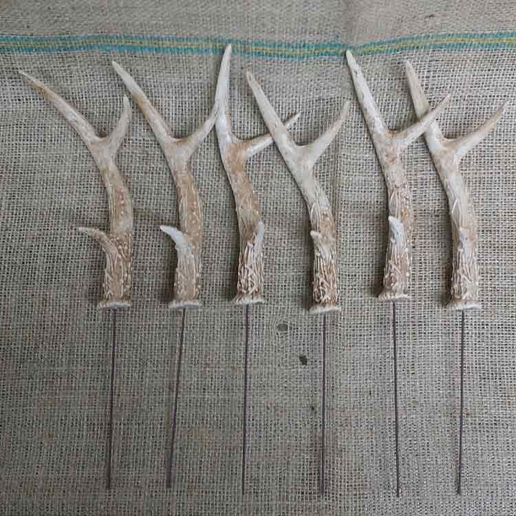 Deer Antler Horn Ornament Decor Pick (Pack of 6)