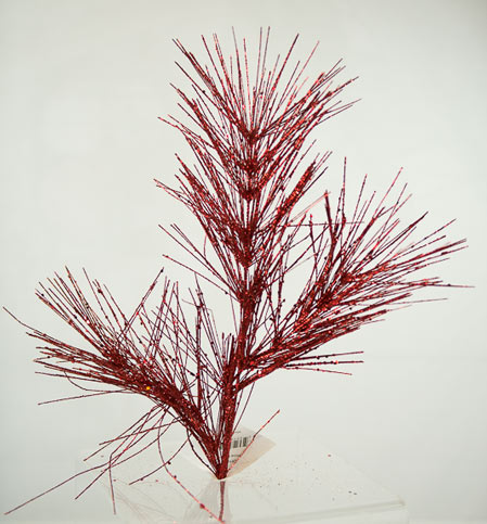 Red Pine Branch