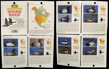 The Complete Hunter Pocket Guide - Diving Duck Identification