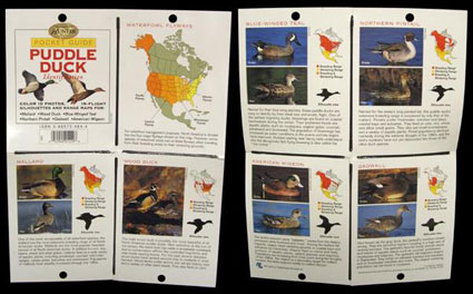 The Complete Hunter POCKET Guide - Puddle Duck Identification