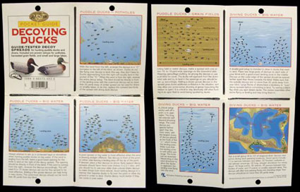 The Complete Hunter POCKET Guide - Decoying Ducks