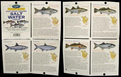 The Freshwater Angler Pocket Guide-East Coast Salt Water Fishing