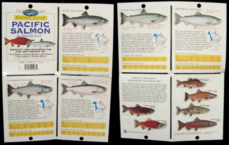 The Freshwater Angler POCKET Guide-Pacific Salmon Identification