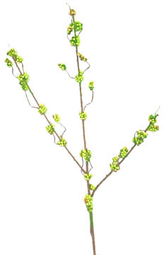 Mini Berry Cluster Branch - Green