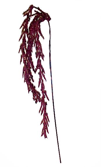 Hanging Catkin Stem -- Burgandy -- 23''