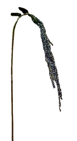 Hanging Berry Stem -- Blue -- 26''