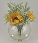 Sunflower Succulent in Bubble Glass VASE