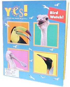 Teacher BOOK -- ''Yes!  Bird Watch''
