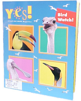 Teacher Book -- ''Yes!  Bird WATCH''