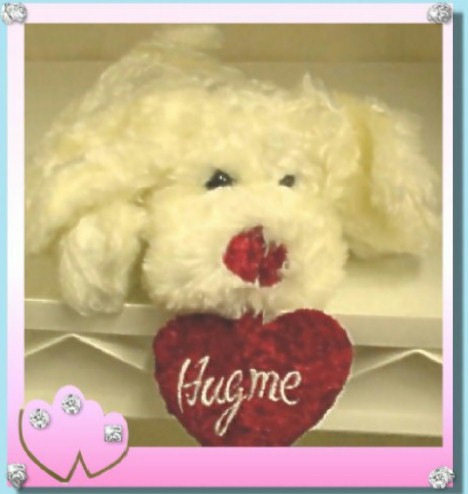 Fluffy White Embossed Bean Bag Dog WIth ''Hug Me''  PILLOW