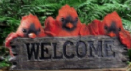 Cardinal Family With ''Welcome SIGN''