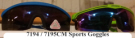 Spring Hinge GOGGLE Assortment   *Special $2.50